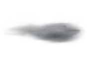 Pogoda