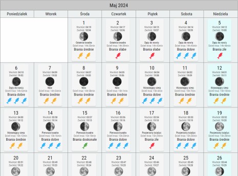 Widget - Kalendarz brań