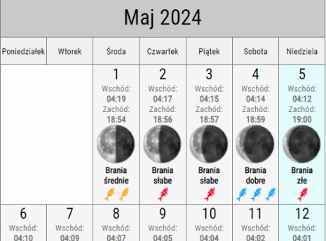 Widget - Kalendarz brań