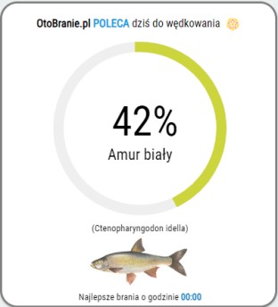 OtoBranie.pl poleca