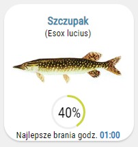 Widget - Brania ryby