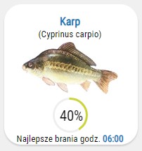 Widget - Brania ryby